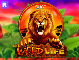 wild life free slot