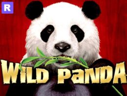 wild panda slot online free