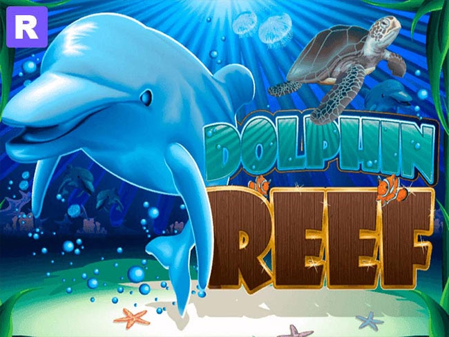 dolphin reef nextgen gaming