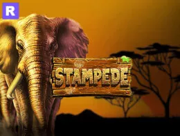 stampede slot free