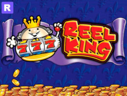 reel king slot machine novomatic